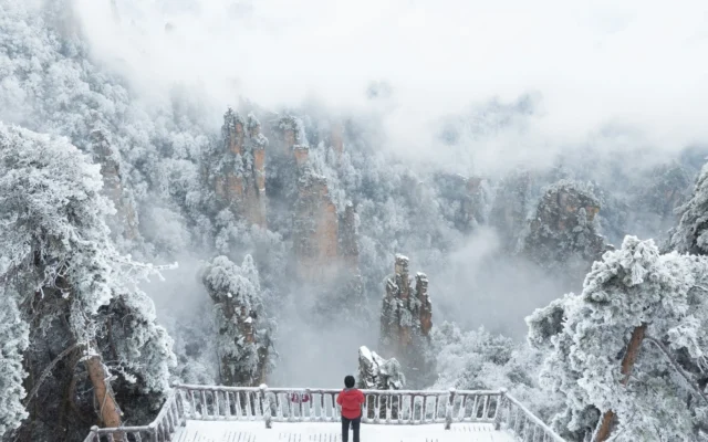 ハオ中国語アカデミーと「一騎探検中」がコラボ!旅する気分で学ぶ無料オンライン講座を開催