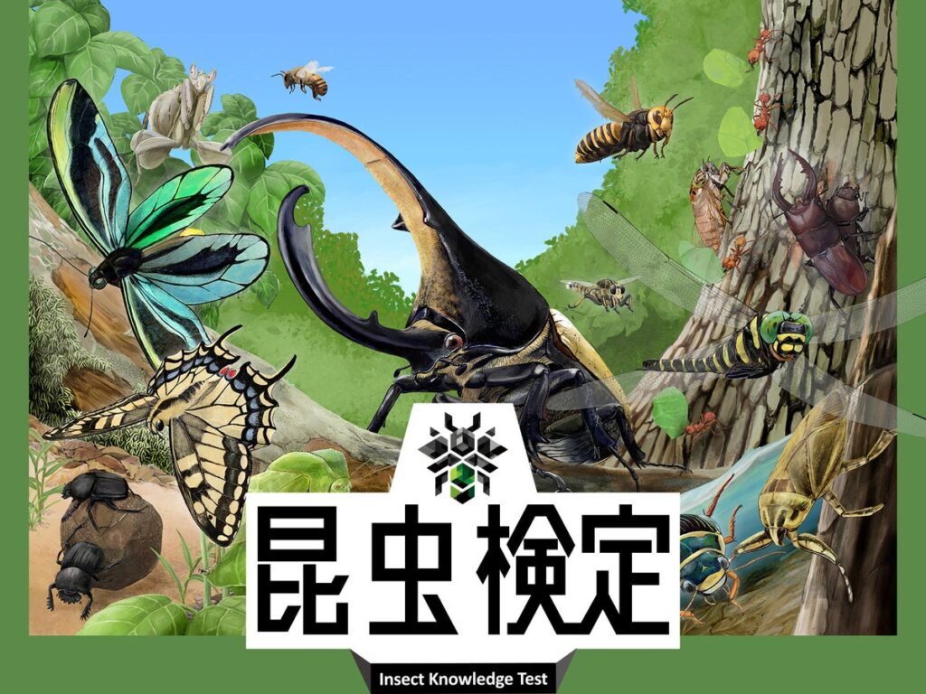 【申込締切間近!】記念すべき第1回昆虫検定。片田陽依さんがアンバサダーに就任。
