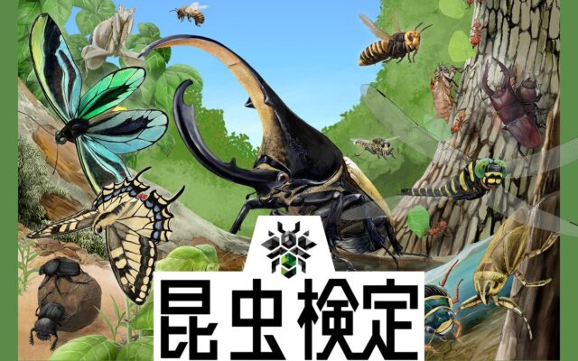 【申込締切間近!】記念すべき第1回昆虫検定。片田陽依さんがアンバサダーに就任。